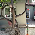 Family With Large Garden Pissouri
